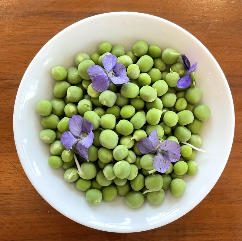 Fresh Peas