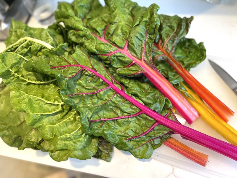 Rainbow chard for chard greens pie