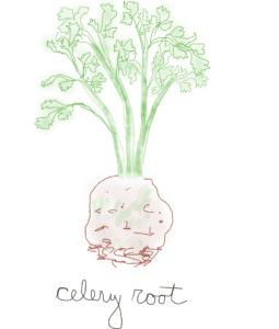 Celery Root